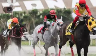Culminó con éxito la Gala Hípica del Caribe 2022 en el Hipódromo La Rinconada