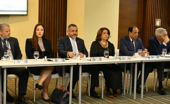 Nueva cédula dominicana modernización