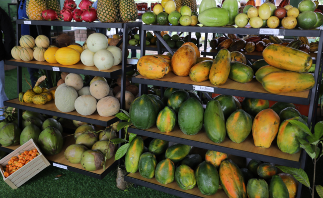 Desarrollo agrícola República Dominicana
