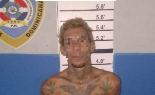 Arrestos robos Santiago 2025