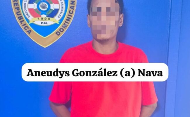 Arrestos robos Santiago 2025