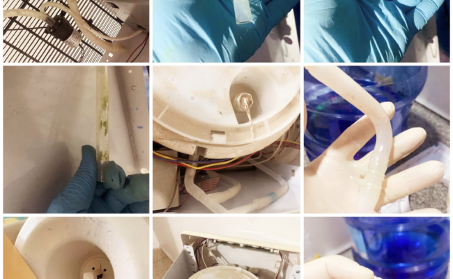 Riesgos salud bebederos contaminados