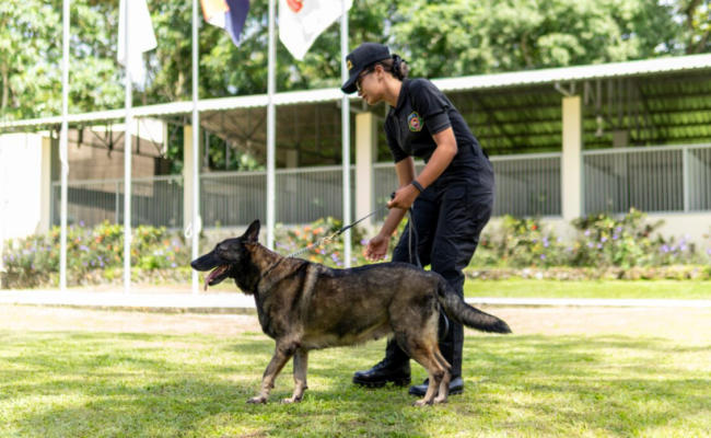 Despedida perros K-9 DNCD