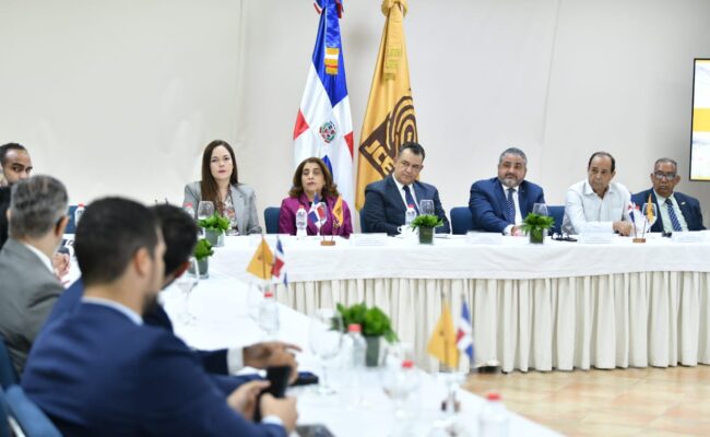 Nueva cédula electoral dominicana