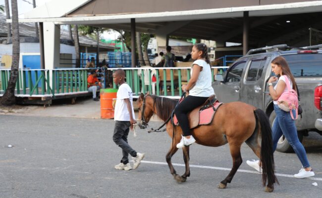 Feria Agropecuaria Nacional Dominicana