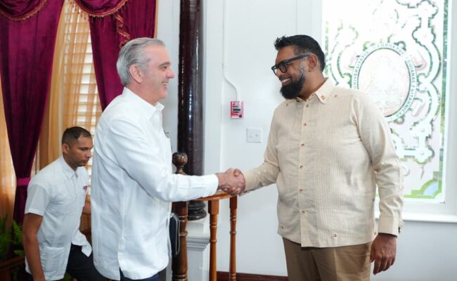 Visita oficial Luis Abinader
