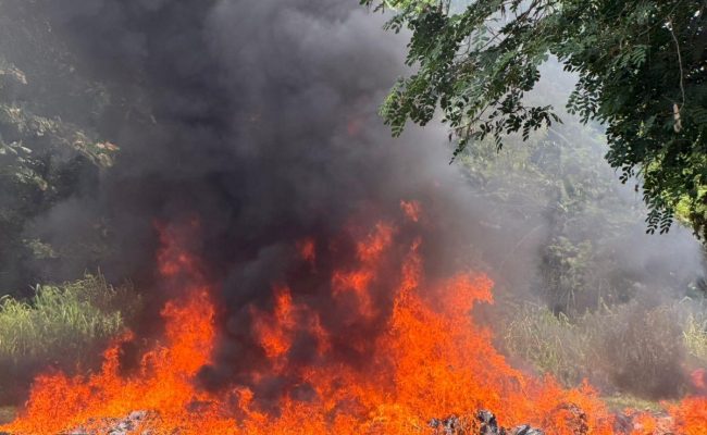 Gran incendio con humo negro en carretera rural